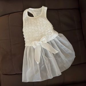 Wedding dress for small dog